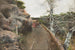 Sentier de pèlerin vallonné - Manuel García y Rodríguez — Ansicht des Kunstwerks