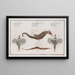 2 Pégase Draconis Der Meeresdrache 3 Syngnathus Hippocampus L'Hippocampe - Marcus Elieser Bloch — gerahmtes Bild an der Wand