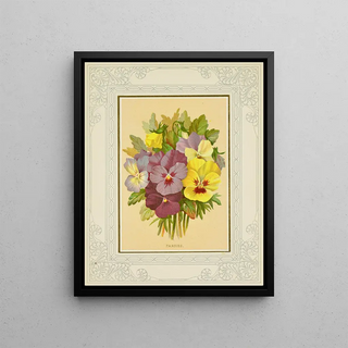 Marcus Ward Co - Pansies.webp