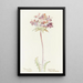 Salbei Distel - Margaret Armstrong — gerahmtes Bild an der Wand