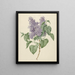 Zweig mit violetten Flieder - Maria Geertruida Barbiers-Snabili — gerahmtes Bild an der Wand