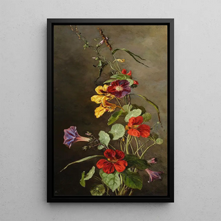 Maria KlassKazanowska - Flowers Nasturtiums.webp