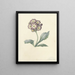 Blumenstudie - Maria Margaretha van Os — gerahmtes Bild an der Wand