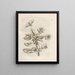 Die wundersame Verwandlung der Raupen und das seltsame Blumenfutter Pl. 010 - Maria Sibylla Merian — gerahmtes Bild an der Wand