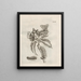 Die wundersame Verwandlung der Raupen und die seltsame Nahrung der Blumen Pl073 - Maria Sibylla Merian — gerahmtes Bild an der Wand
