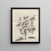 Die wundersame Verwandlung der Raupen und die seltsame Nahrung der Blumen Pl085 - Maria Sibylla Merian — gerahmtes Bild an der Wand