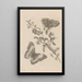 Dissertation über die Entstehung und die Metamorphosen der Insekten von Surinam Pl07 - Maria Sibylla Merian — gerahmtes Bild an der Wand