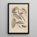 Dissertation über die Entstehung und die Metamorphosen der Insekten aus Surinam Pl25 - Maria Sibylla Merian — gerahmtes Bild an der Wand