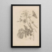 Dissertatio de generatione et metamorphoses des insectes surinamens Pl45 - Maria Sibylla Merian — gerahmtes Bild an der Wand