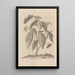 Dissertatio de generatione et metamorphoses des insectes surinamens Pl63 - Maria Sibylla Merian — gerahmtes Bild an der Wand