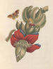 Dissertation über die Entstehung und die Transformationen der Insekten von Surinam Pl32 - Maria Sibylla Merian — Ansicht des Kunstwerks
