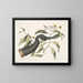 Oie du Canada Chrysanthemum c - Mark Catesby — gerahmtes Bild an der Wand