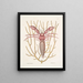Cancellus maximus Le Bernard-l'ermite marin Lithophyton c - Mark Catesby — gerahmtes Bild an der Wand