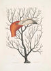 Caput Phoenicopteri Der Schnabel des Flamingos in seinen vollständigen Maßen Keratophyton c - Mark Catesby — Ansicht des Kunstwerks