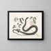 Frutex c Anguis c Der schwarze Schlange - Mark Catesby — gerahmtes Bild an der Wand