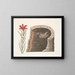 Hirondelle à queue épineuse, l'hirondelle américaine, lis à fleurs rouges singulier - Mark Catesby — gerahmtes Bild an der Wand