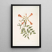 Mellivora c Der Kolibri Bignonia c Die Trompetenblume - Mark Catesby — gerahmtes Bild an der Wand