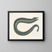Murna maculata Le Muray - Mark Catesby — gerahmtes Bild an der Wand