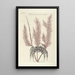 Piscium serpentum insectorum aliorumque nonnullorum animalium nec non plantarum quarundam imagines Pl035 - Mark Catesby — gerahmtes Bild an der Wand