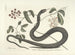 Bilder von Fischen, Schlangen, Insekten und anderen Tieren sowie einiger Pflanzen Pl048 - Mark Catesby — Ansicht des Kunstwerks