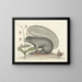 Bilder von Fischen, Schlangen, Insekten und anderen Tieren sowie einiger Pflanzen Pl074 - Mark Catesby — gerahmtes Bild an der Wand