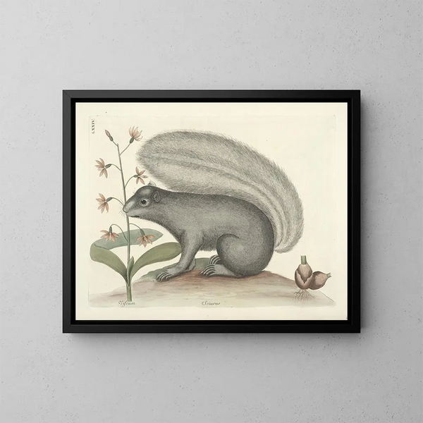 Bilder von Fischen, Schlangen, Insekten und anderen Tieren sowie einiger Pflanzen Pl074 - Mark Catesby — gerahmtes Bild an der Wand