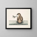 Der Schwarzhalstaucher - Mark Catesby — gerahmtes Bild an der Wand