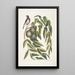 Ruticilla Americana Le Paruline à Gorge Rouge Juglans Nigra Le Noyer Noir - Mark Catesby — gerahmtes Bild an der Wand