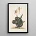 Mark Catesby — gerahmtes Bild an der Wand