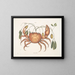 Tapie und irdischer Krebs, der Erdkrabbe - Mark Catesby — gerahmtes Bild an der Wand