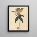 Le Paruline polyglotte - Mark Catesby — gerahmtes Bild an der Wand