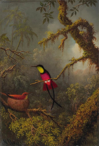 Martin Johnson Heade - A Pair Of Nesting Crimson Topaz Hummingbirds.webp