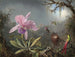 Orchidee Cattleya und drei Kolibris - Martin Johnson Heade — Ansicht des Kunstwerks