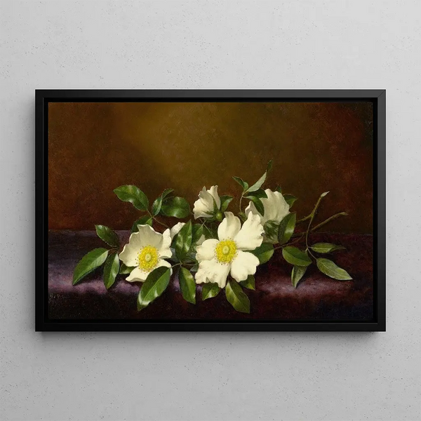 Rosen Cherokee auf einem violetten Stoff - Martin Johnson Heade — gerahmtes Bild an der Wand