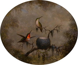 Martin Johnson Heade - Hummingbirds and Their Nest.webp