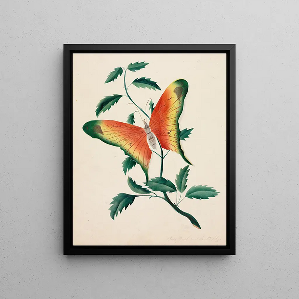 Mary Altha Nims - Rose Bush and Butterfly.webp
