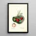 Fragaria Barrymore - Mary Daisy Arnold — gerahmtes Bild an der Wand