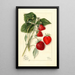 Fragaria Dunlap - Mary Daisy Arnold — gerahmtes Bild an der Wand