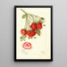 Fragaria Francis - Mary Daisy Arnold — gerahmtes Bild an der Wand