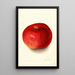 Malus domestica Wolf River - Mary Daisy Arnold — gerahmtes Bild an der Wand