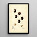 Olea europaea Mission - Mary Daisy Arnold — gerahmtes Bild an der Wand