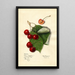 Prunus avium Reine Hortense - Mary Daisy Arnold — gerahmtes Bild an der Wand