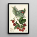 Rubus Andrews - Mary Daisy Arnold — gerahmtes Bild an der Wand