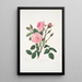Rosa muscosa - Mary Lawrance — gerahmtes Bild an der Wand