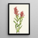 Castilléjie de l'Alberta Castilleja miniata - Mary Vaux Walcott — gerahmtes Bild an der Wand