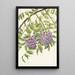 Glycine américaine Kraunhia frutescens - Mary Vaux Walcott — gerahmtes Bild an der Wand