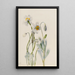 Merriam-Arctomecon-Mohn - Mary Vaux Walcott — gerahmtes Bild an der Wand
