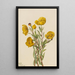 Dendromecon rigide Dendromecon rigidum - Mary Vaux Walcott — gerahmtes Bild an der Wand