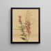 Fleur cardinale Lobelia cardinalis - Mary Vaux Walcott — gerahmtes Bild an der Wand