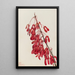 Ahorn von Caroline Acer carolinianum - Mary Vaux Walcott — gerahmtes Bild an der Wand